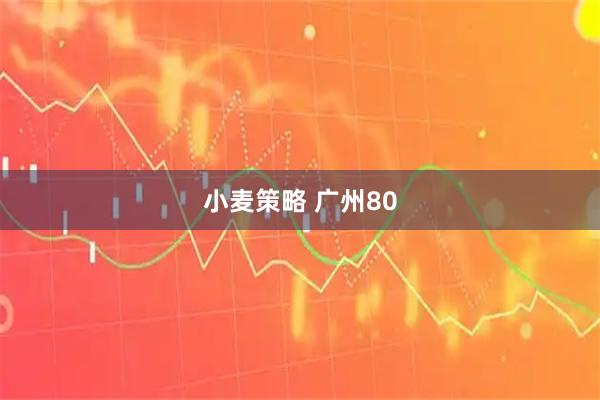 小麦策略 广州80